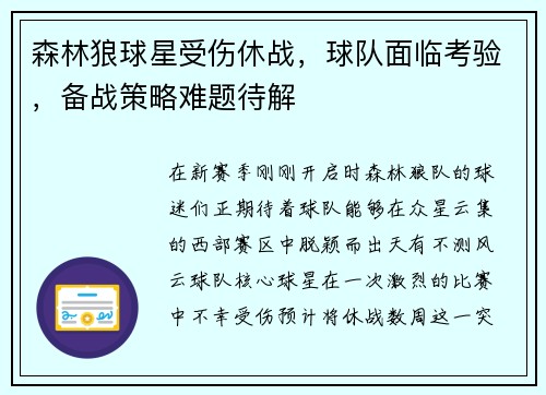 森林狼球星受伤休战，球队面临考验，备战策略难题待解