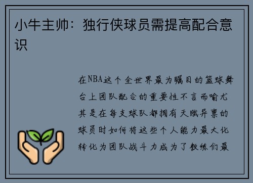 小牛主帅：独行侠球员需提高配合意识